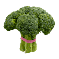 Broccoli 1 ea