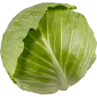 Green Cabbage