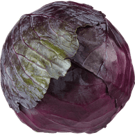 Red Cabbage 1 ea