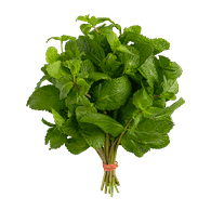 Mint, Fresh 1 bunch