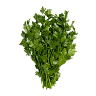 Italian Parsley 1 bunch