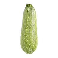 Grey Zucchini