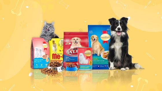 1675278922-pet-food-banner-cover.jpg